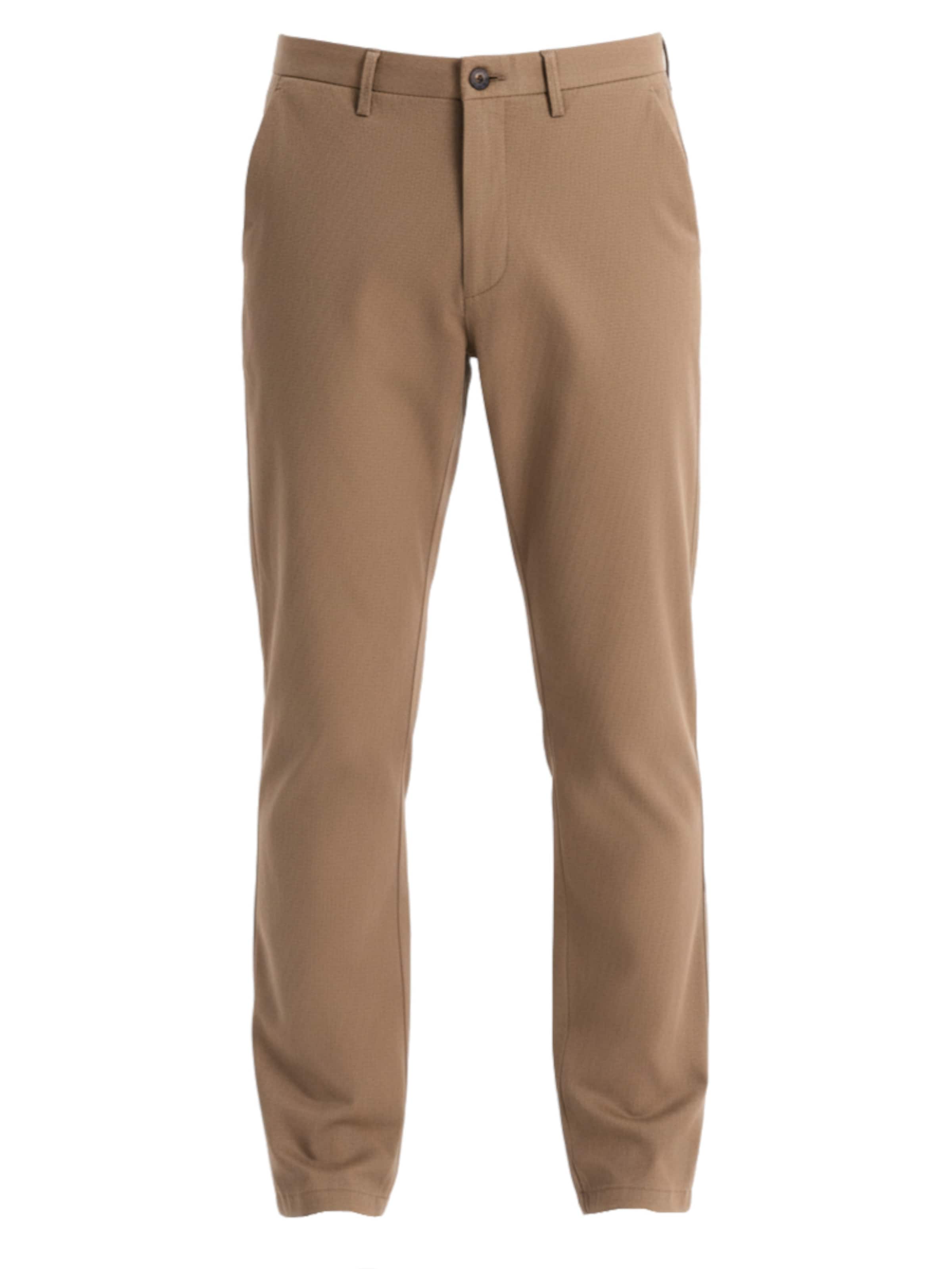 Ombre Штаны чинос 'Quintessence' Regular в темно-бежевом цвете
Ombre Штаны чинос 'Quintessence' Regular в темно-бежевом цвете