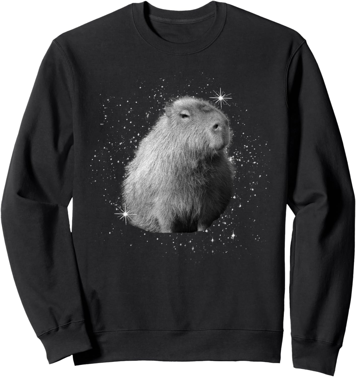 Толстовка с изображением капибары и черно-белой звезды Random Galaxy, Черный, Толстовка с изображением капибары и черно-белой звезды Random Galaxy
Толстовка с изображением капибары и черно-белой звезды Random Galaxy, Черный, Толстовка с изображением капибары и черно-белой звезды Random Galaxy