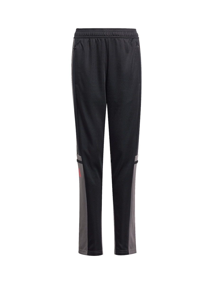 Облегающие спортивные брюки ADIDAS PERFORMANCE Squadra 25, черный
Облегающие спортивные брюки ADIDAS PERFORMANCE Squadra 25, черный