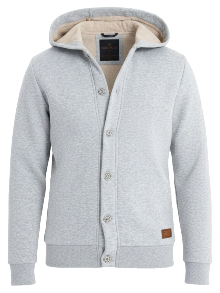 Толстовка с капюшоном на молнии Ombre OM-SSZP-0186, светло-серый
Толстовка с капюшоном на молнии Ombre OM-SSZP-0186, светло-серый