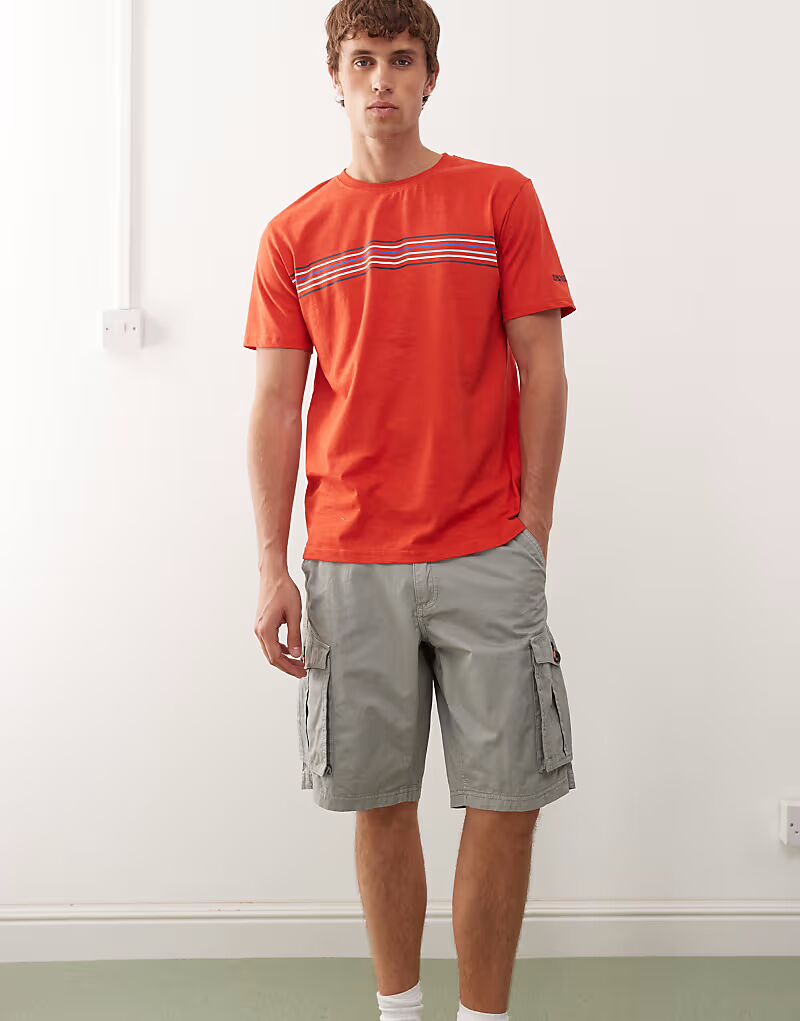 Шорты Regatta Shorebay II серого цвета
Шорты Regatta Shorebay II серого цвета