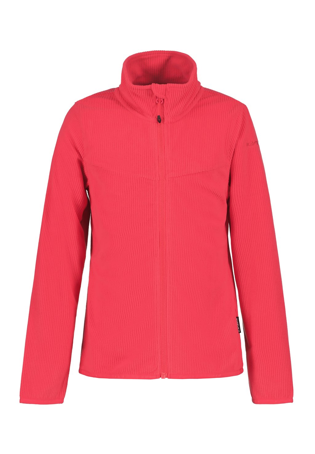 Флисовая куртка KIMBALL Icepeak, черничный
Флисовая куртка KIMBALL Icepeak, черничный