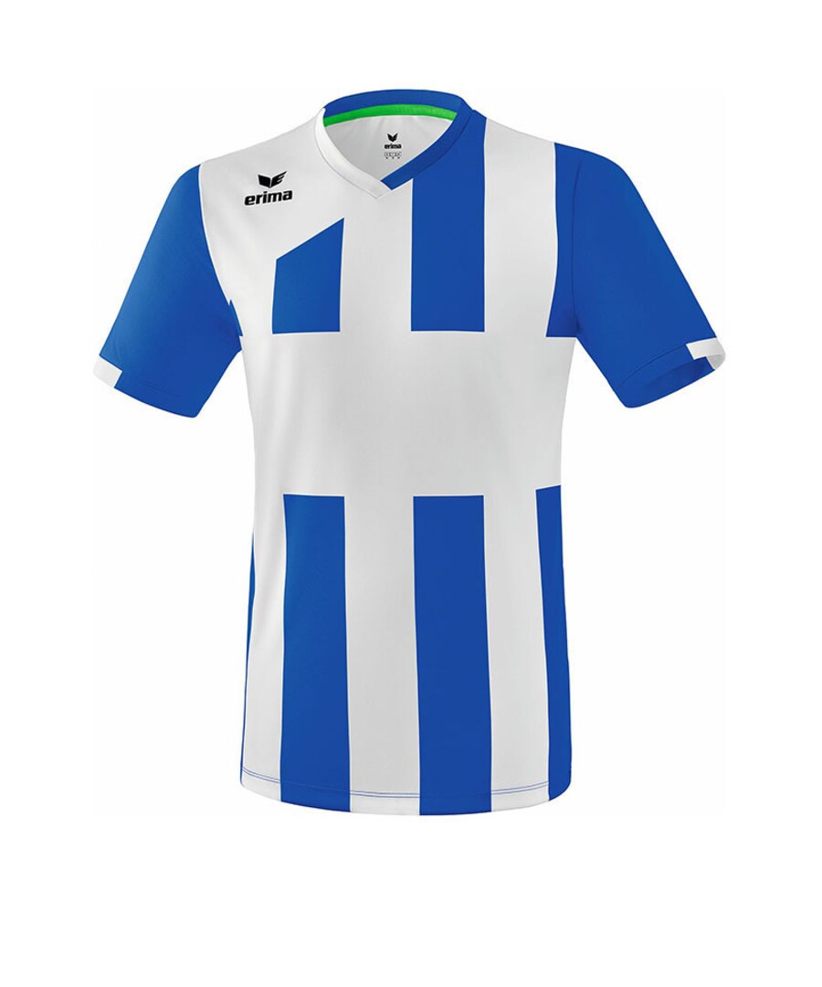 Джерси ERIMA, синий
Джерси ERIMA, синий