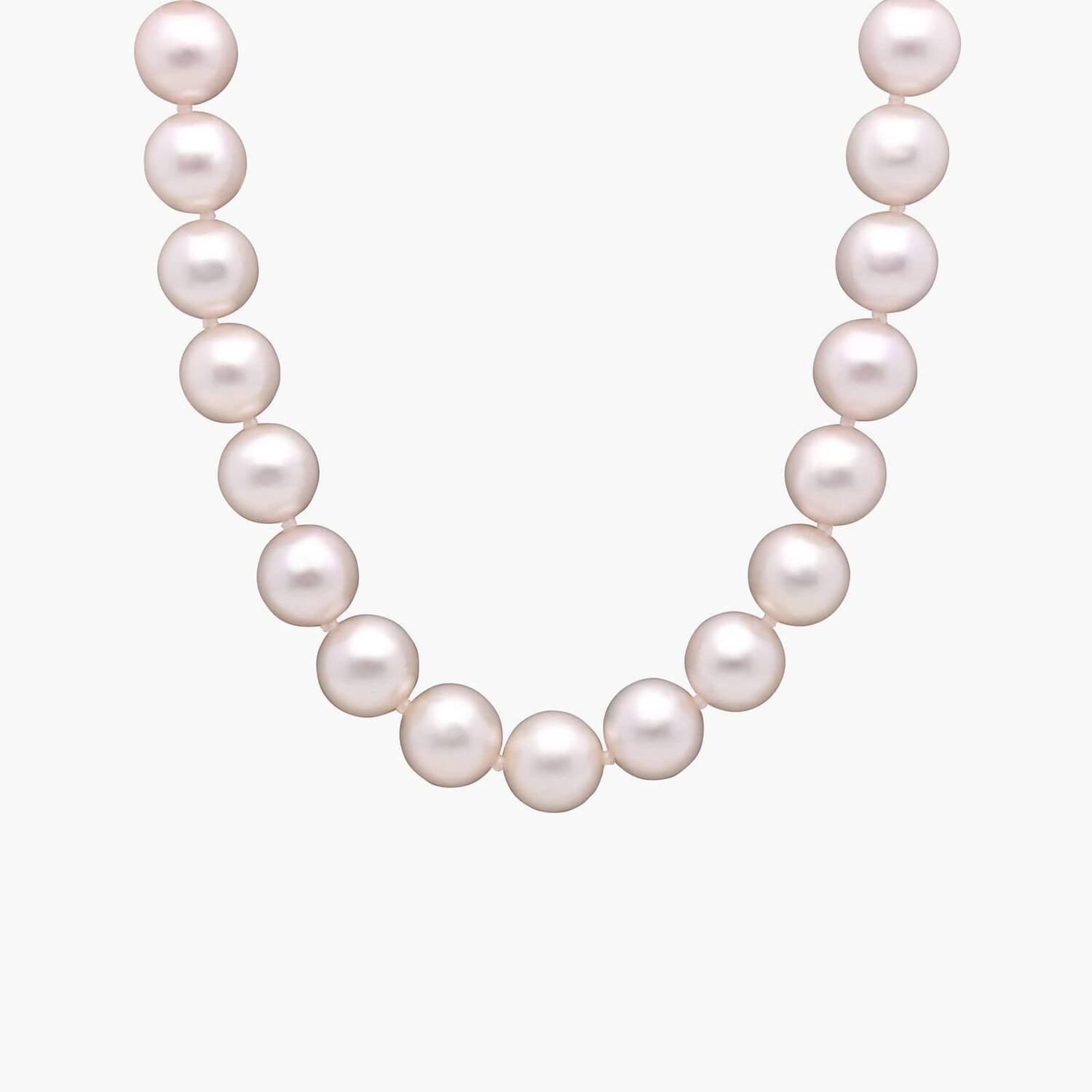 24-дюймовое классическое ожерелье из нити культивированного жемчуга Акойя из 18-каратного желтого золота (8,0-8,5 мм) Blue Nile
24-дюймовое классическое ожерелье из нити культивированного жемчуга Акойя из 18-каратного желтого золота (8,0-8,5 мм) Blue Nile