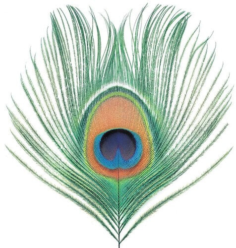 Виниловая пластинка XTC: Apple Venus Vol 1
Виниловая пластинка XTC: Apple Venus Vol 1