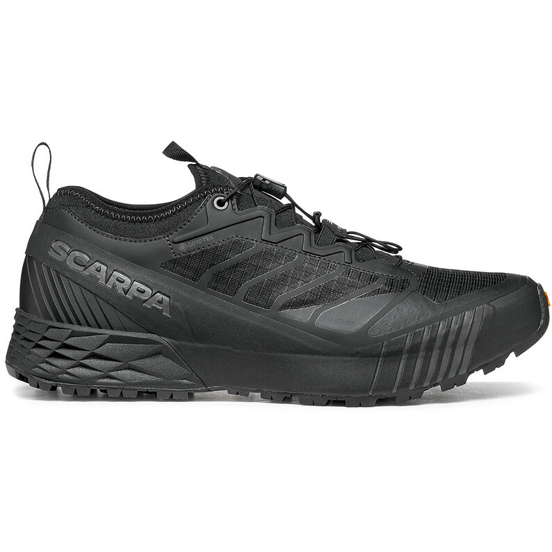 Мужские туфли Ribelle Run GTX Scarpa, черный
Мужские туфли Ribelle Run GTX Scarpa, черный