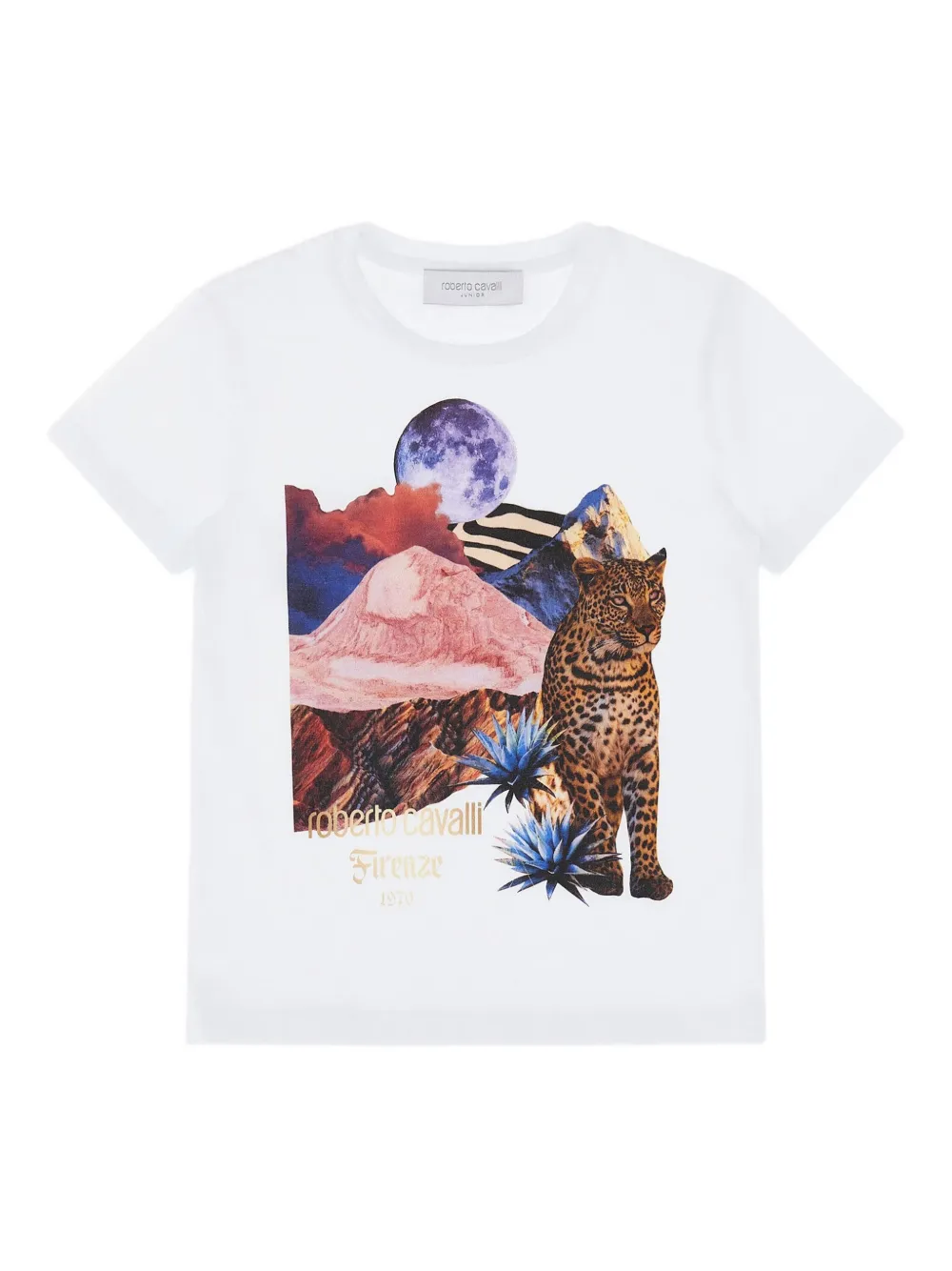 Футболка с графическим принтом Roberto Cavalli, белый
Футболка с графическим принтом Roberto Cavalli, белый