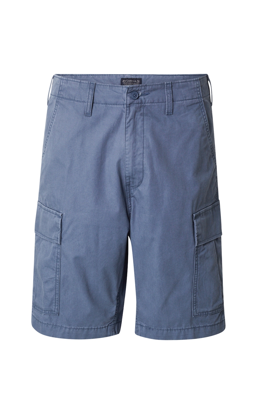 Свободные брюки-карго LEVI'S Carrier Cargo Shorts, Opal
Свободные брюки-карго LEVI'S Carrier Cargo Shorts, Opal