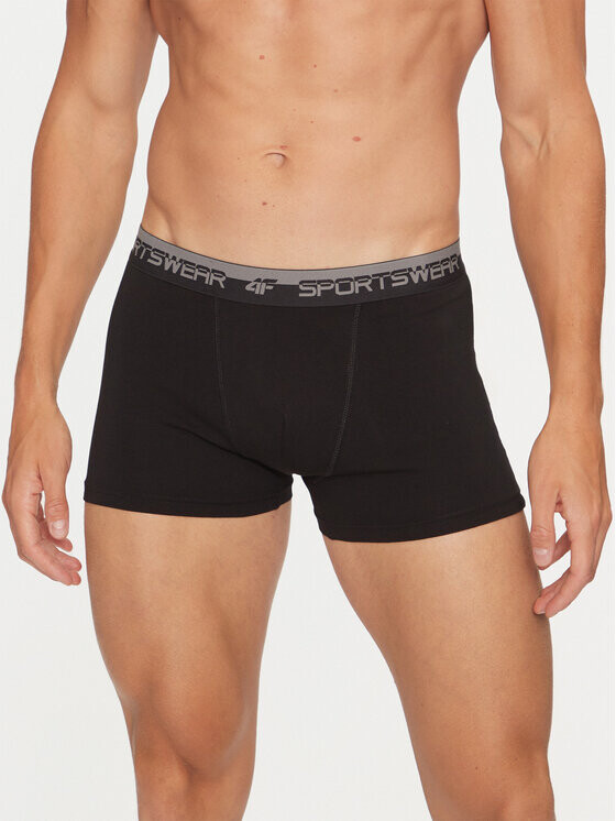 Комплект из 2 боксеров 4F, черный
Комплект из 2 боксеров 4F, черный