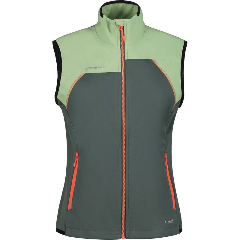 Жилет Брэнсона Icepeak, цвет dunkel olivgrün
Жилет Брэнсона Icepeak, цвет dunkel olivgrün