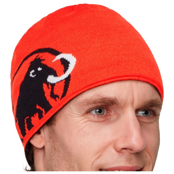 Шапочка с логотипом Mammut Mammut, черный
Шапочка с логотипом Mammut Mammut, черный