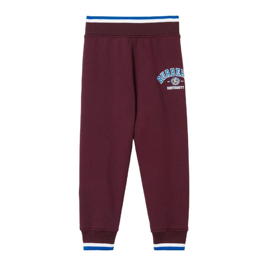 Барберри Кидс Сидней Колледж Логотип-Принт Джоггеры Burberry, темно-бордовый
Барберри Кидс Сидней Колледж Логотип-Принт Джоггеры Burberry, темно-бордовый