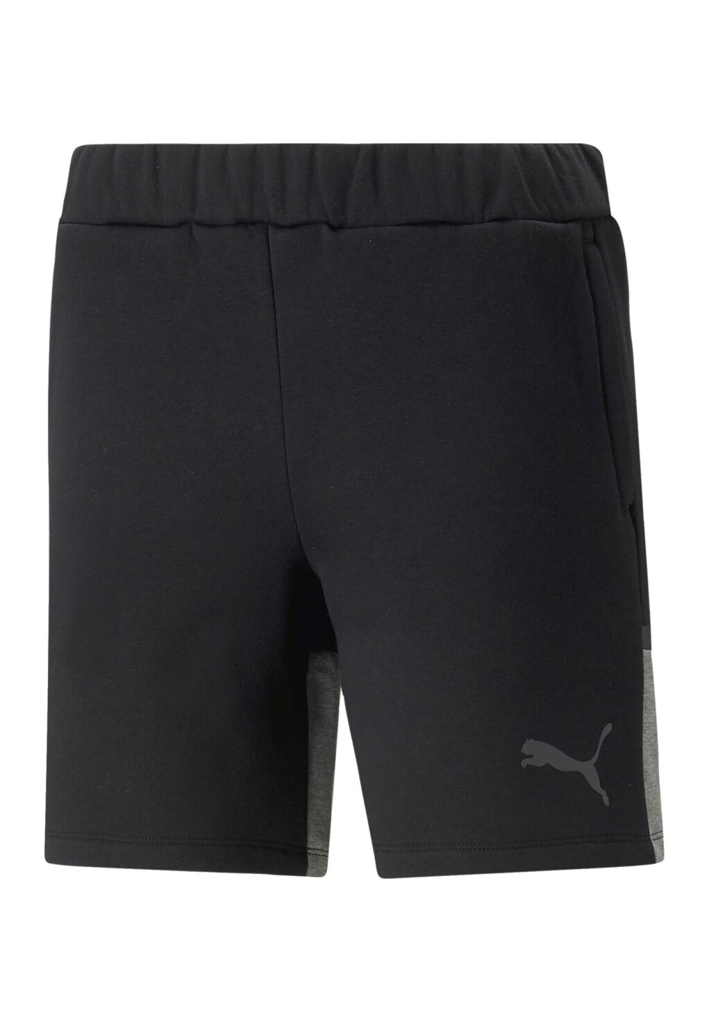 Спортивные брюки FUSSBALL TEAMSPORT TEAMCUP D Puma, черный
Спортивные брюки FUSSBALL TEAMSPORT TEAMCUP D Puma, черный