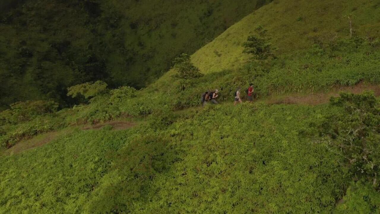 Камуфляжная туристическая поясная сумка Forclaz TRAVEL 7 л 
Камуфляжная туристическая поясная сумка Forclaz TRAVEL 7 л