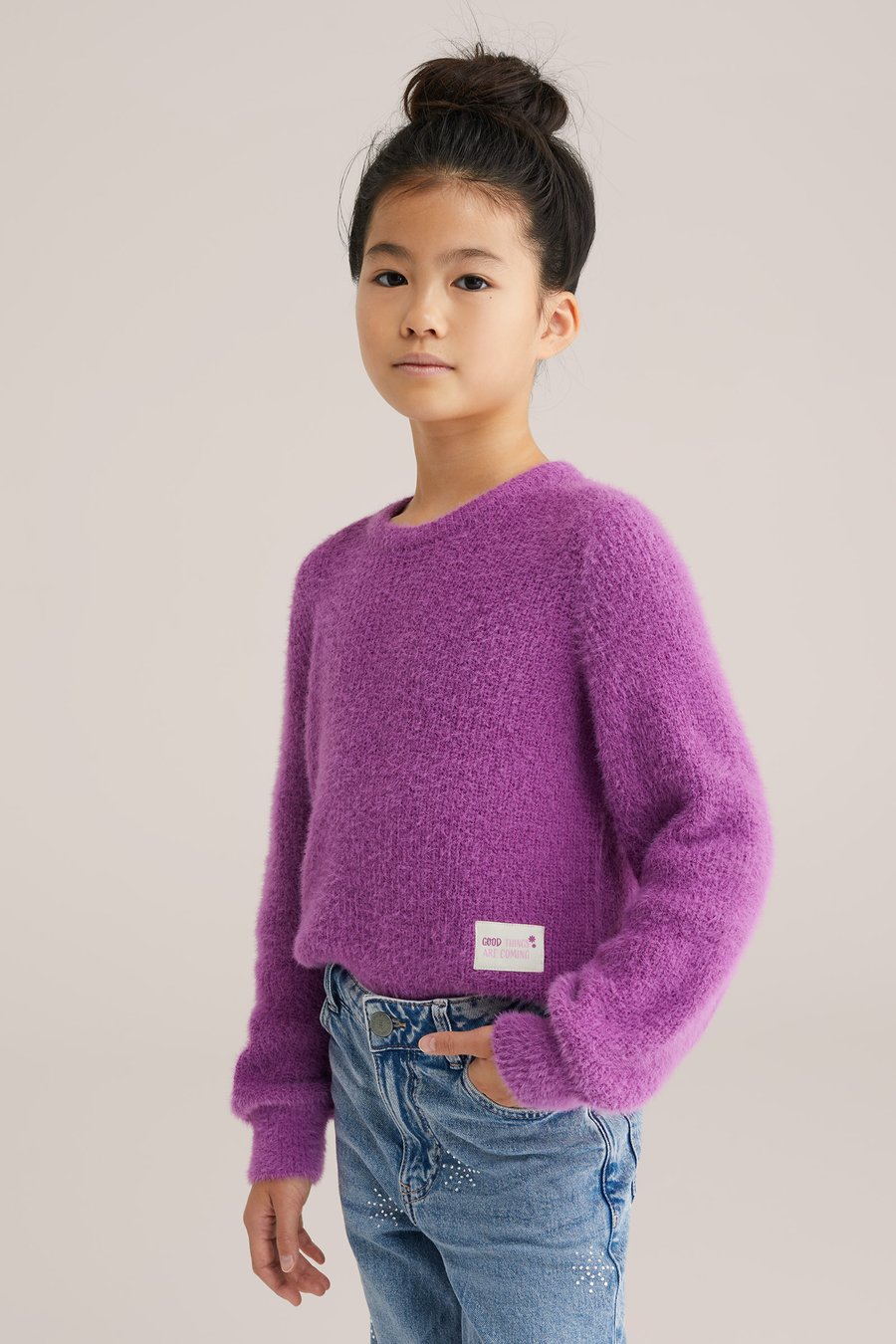 Джемпер WE Fashion Jumper, Light Purple/Purple
Джемпер WE Fashion Jumper, Light Purple/Purple