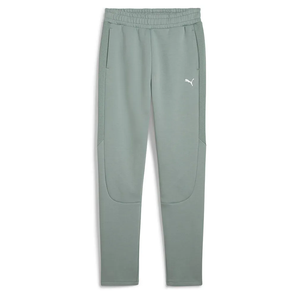Спортивные брюки Puma Evostripe, зеленый
Спортивные брюки Puma Evostripe, зеленый