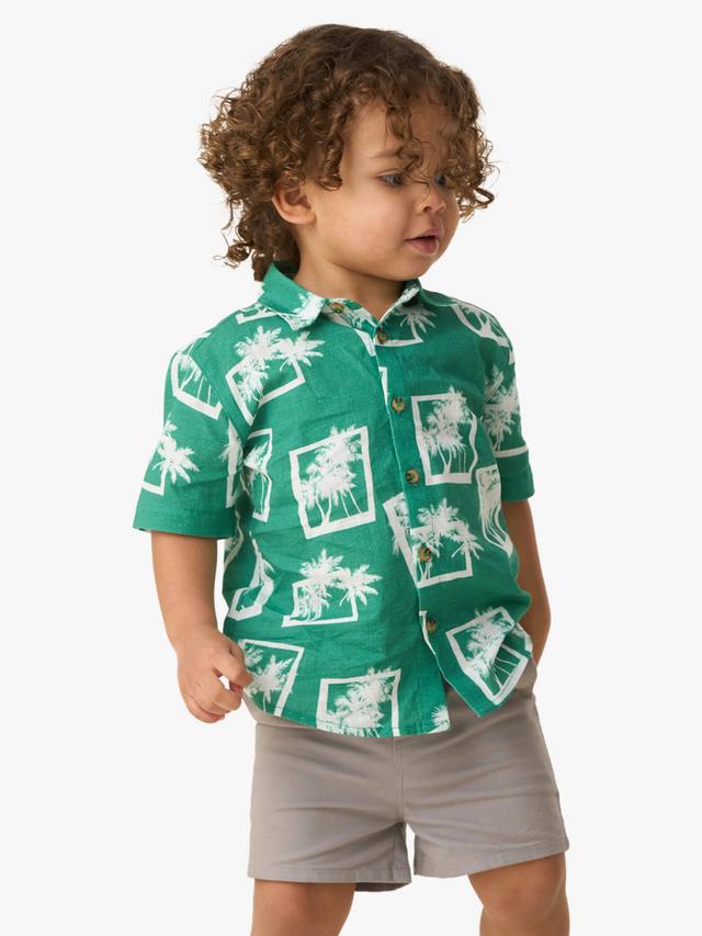 Детская рубашка с принтом в виде ладони Angel & Rocket, цвет Green/White
Детская рубашка с принтом в виде ладони Angel & Rocket, цвет Green/White