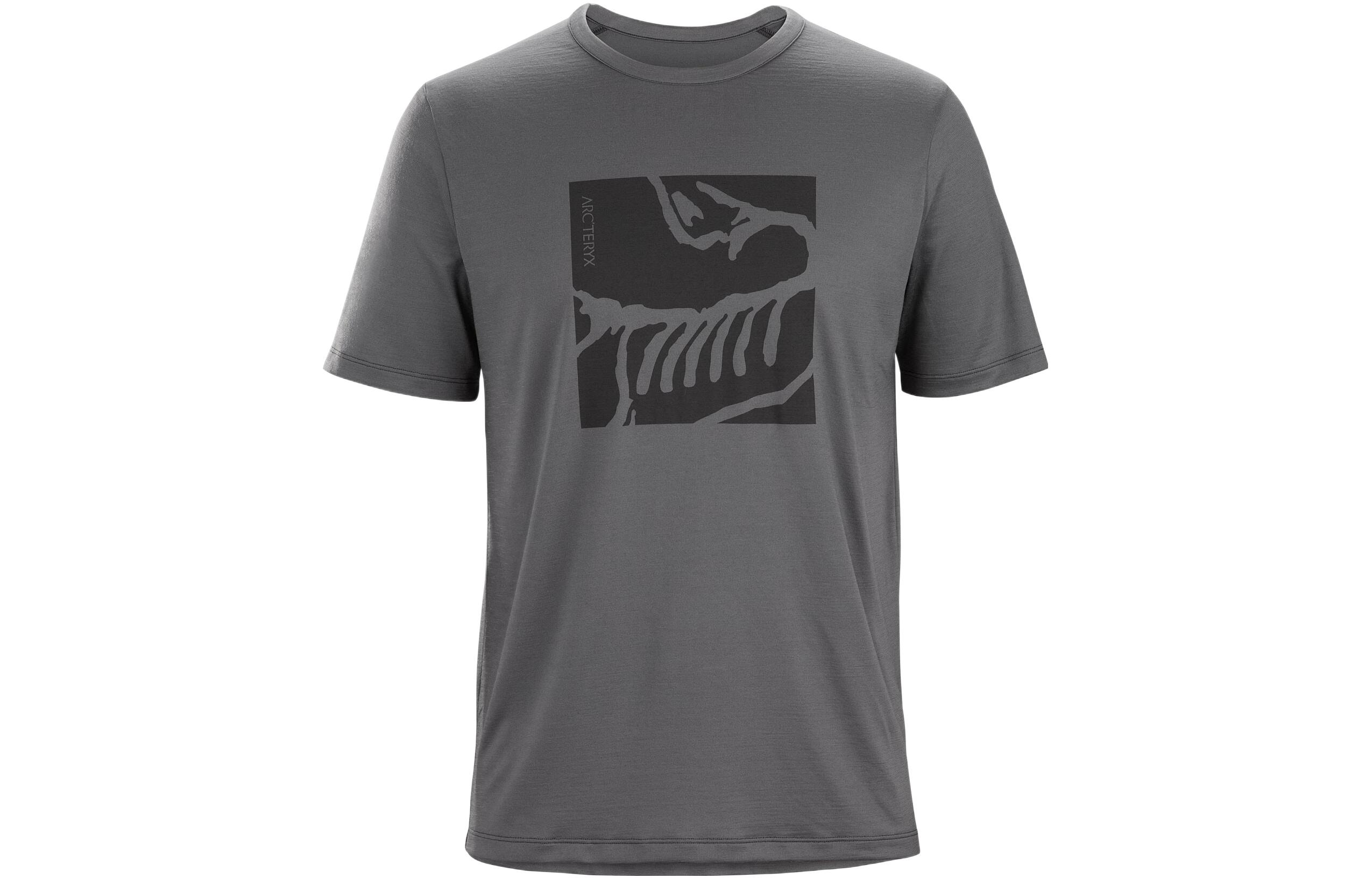 Футболка мужская Arcteryx, яркий зеленый лайм
Футболка мужская Arcteryx, яркий зеленый лайм