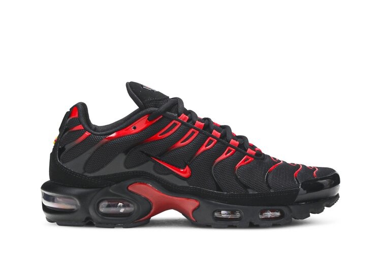 Кроссовки Nike Air Max Plus, черный
Кроссовки Nike Air Max Plus, черный