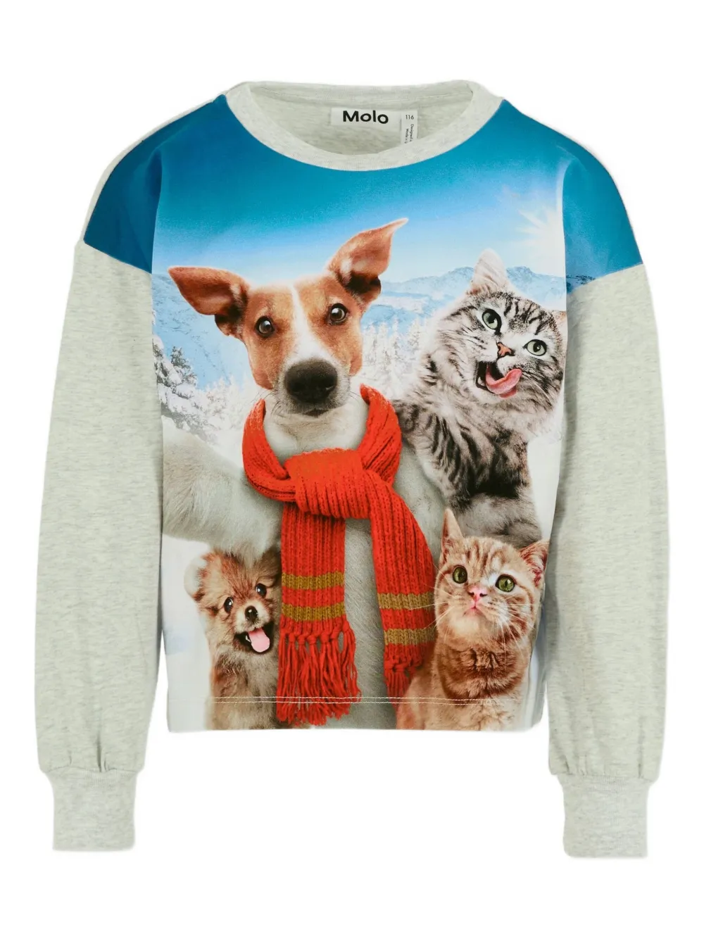 Толстовка с принтом Molo, серый
Толстовка с принтом Molo, серый