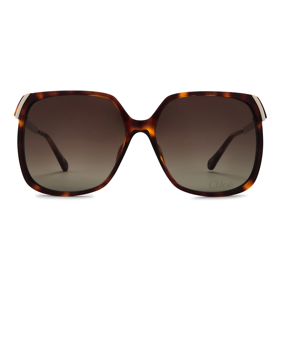 Aly Солнцезащитные очки Chloe, Havana, Gold, & Brown
Aly Солнцезащитные очки Chloe, Havana, Gold, & Brown
