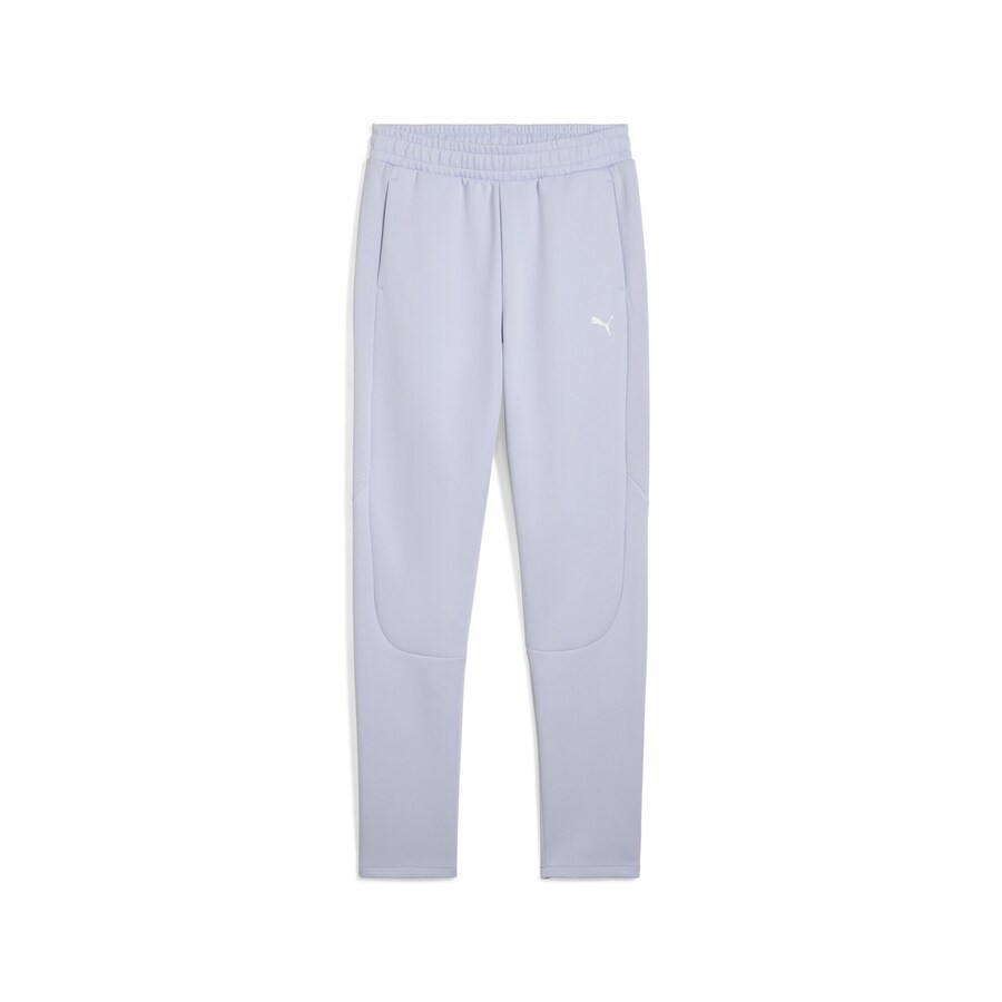 Облегающие спортивные брюки PUMA Evostripe, светло-синий
Облегающие спортивные брюки PUMA Evostripe, светло-синий