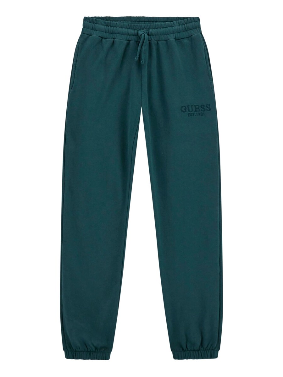Обычные брюки GUESS, зеленый
Обычные брюки GUESS, зеленый