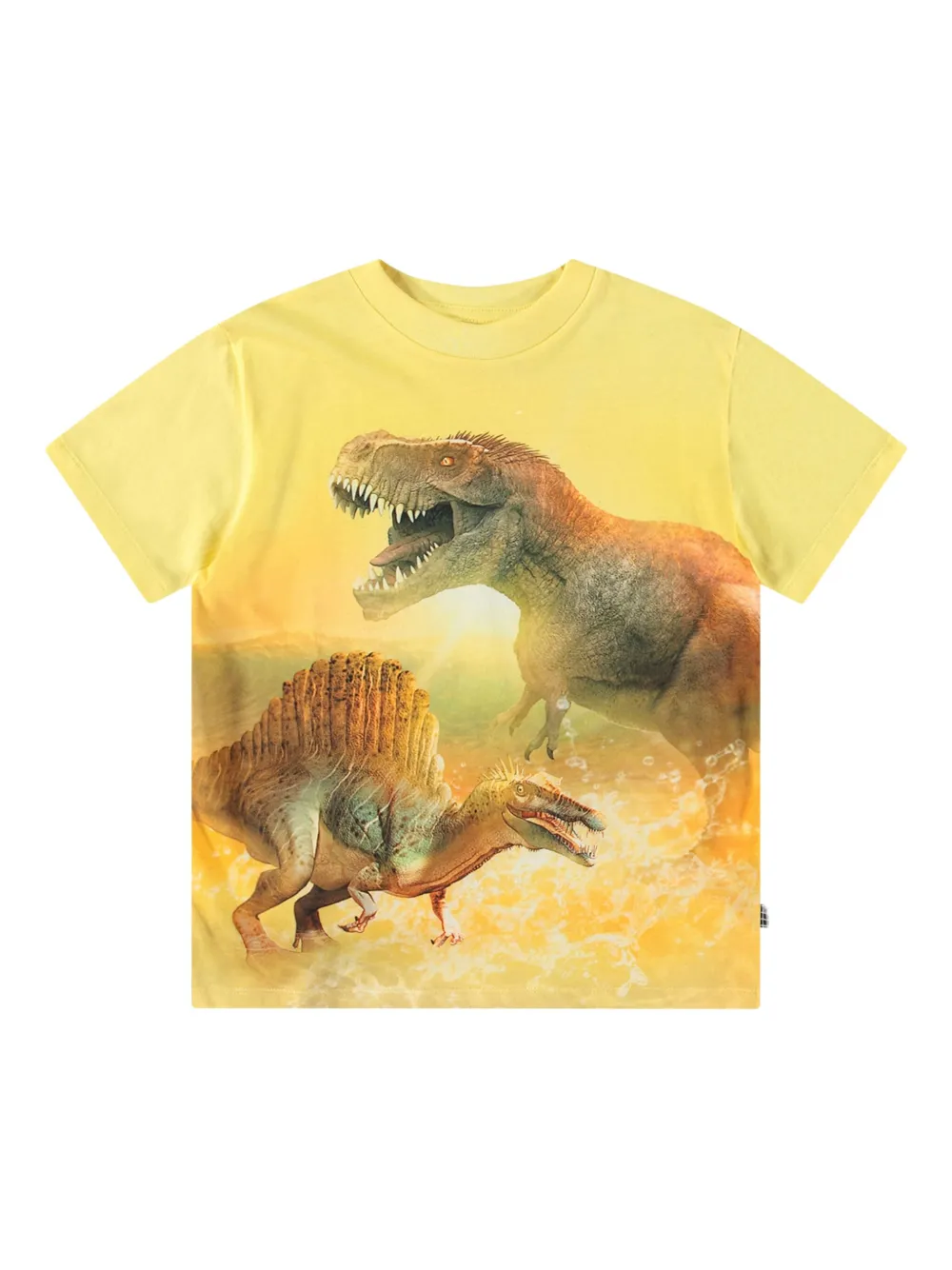 Футболка с графичным принтом Molo, желтый
Футболка с графичным принтом Molo, желтый