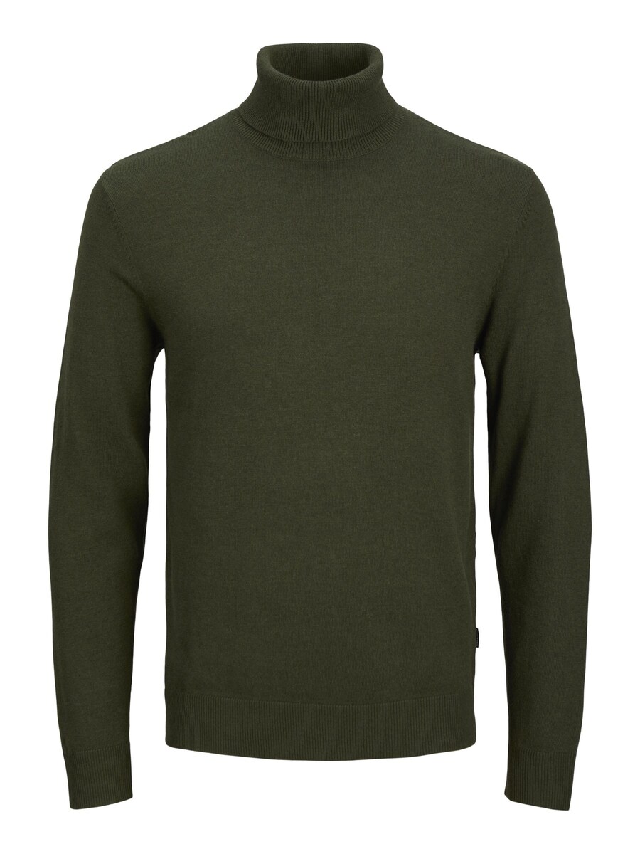 Водолазка Jack & Jones Plus Sweater, темно-зеленый
Водолазка Jack & Jones Plus Sweater, темно-зеленый