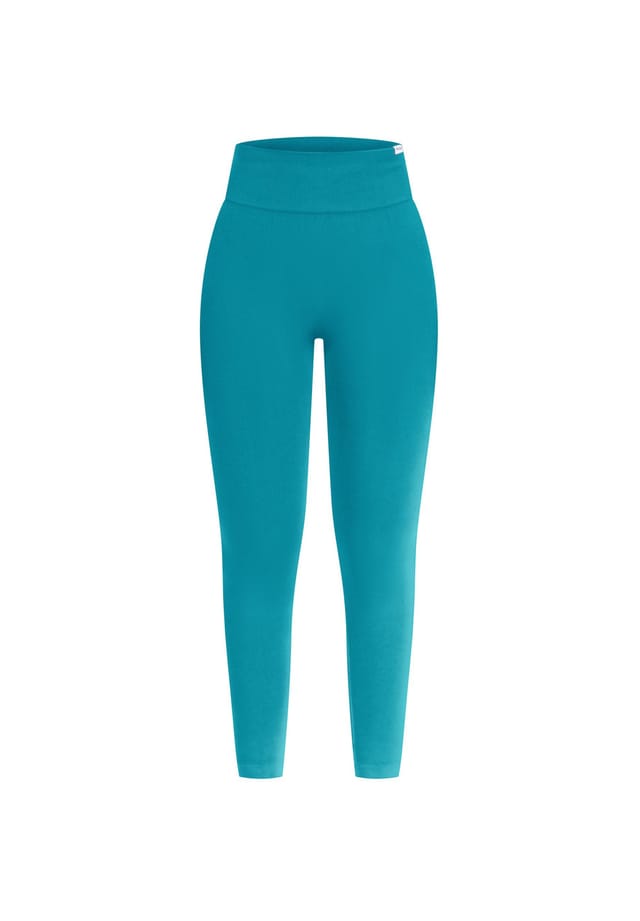 Леггинсы Slayton Scrunch Smilodox, цвет petrol
Леггинсы Slayton Scrunch Smilodox, цвет petrol