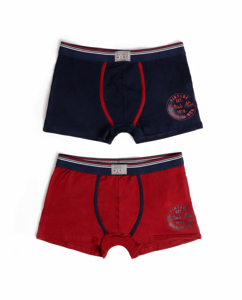 Комплект из двух мужских трикотажных боксеров разных цветов Admas, мультиколор
Комплект из двух мужских трикотажных боксеров разных цветов Admas, мультиколор