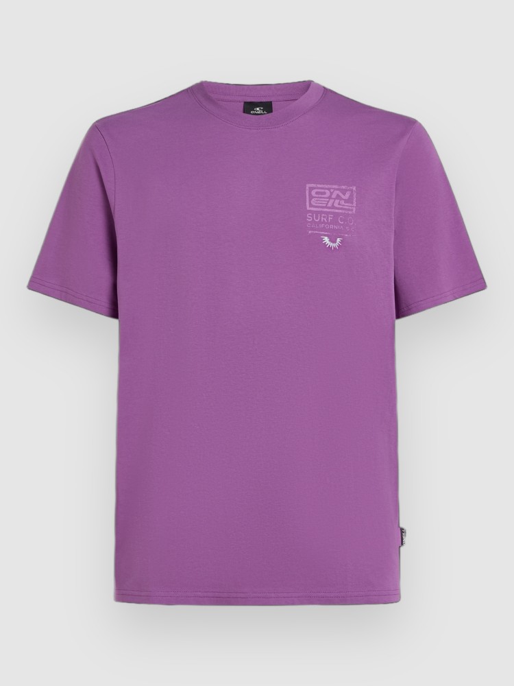 Футболка O'Neill Retro Graphic T-Shirt, sweet grape, Фиолетовый, Футболка O'Neill Retro Graphic T-Shirt, sweet grape
Футболка O'Neill Retro Graphic T-Shirt, sweet grape, Фиолетовый, Футболка O'Neill Retro Graphic T-Shirt, sweet grape