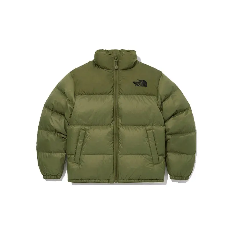 Куртка унисекс зеленая The North Face, зеленый
Куртка унисекс зеленая The North Face, зеленый