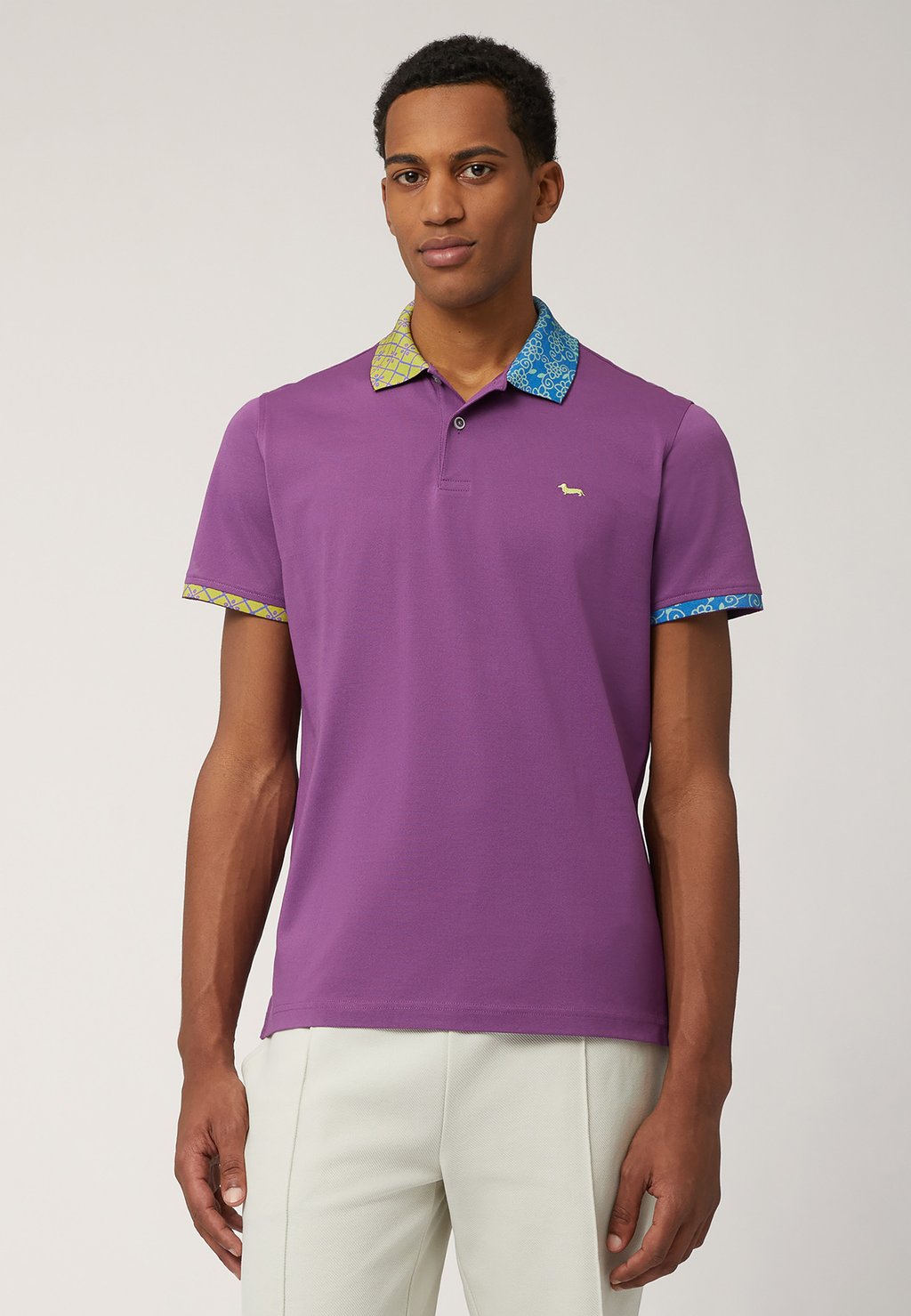 Рубашка поло MEZZA MANICA CON COLLO A FANTASIA Harmont & Blaine, фиолетовый 
Рубашка поло MEZZA MANICA CON COLLO A FANTASIA Harmont & Blaine, фиолетовый