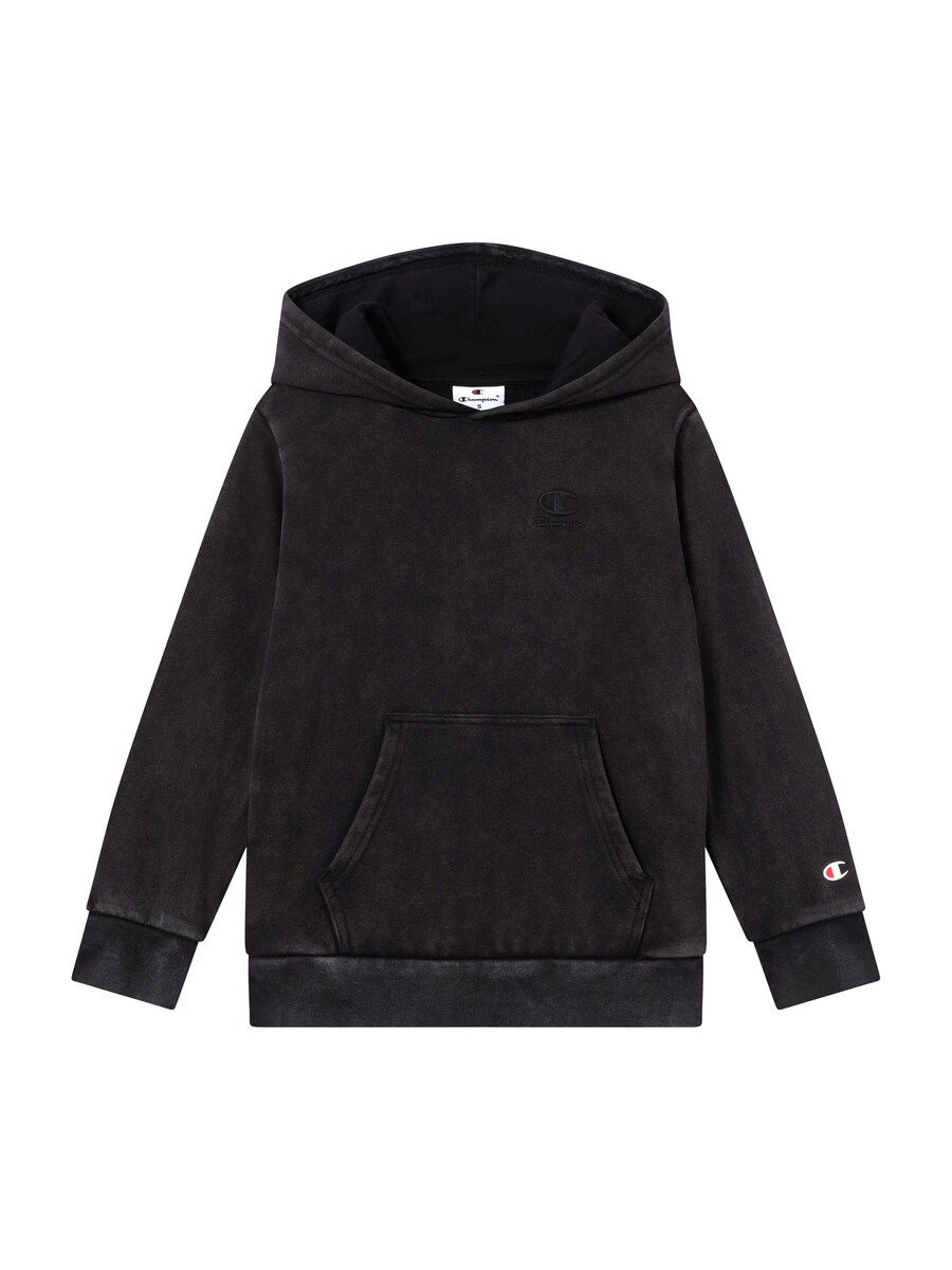 Толстовка Champion Authentic Athletic Apparel, черный
Толстовка Champion Authentic Athletic Apparel, черный