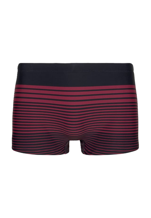 Плавки-Шорты Sander в полоску эластичные S.Oliver, черный
Плавки-Шорты Sander в полоску эластичные S.Oliver, черный