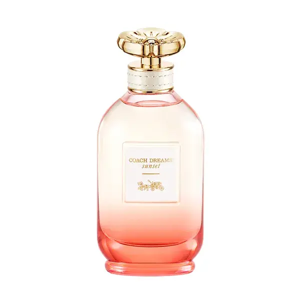 Парфюмированная вода для женщин Dreams Sunset Coach, 90 ml
Парфюмированная вода для женщин Dreams Sunset Coach, 90 ml