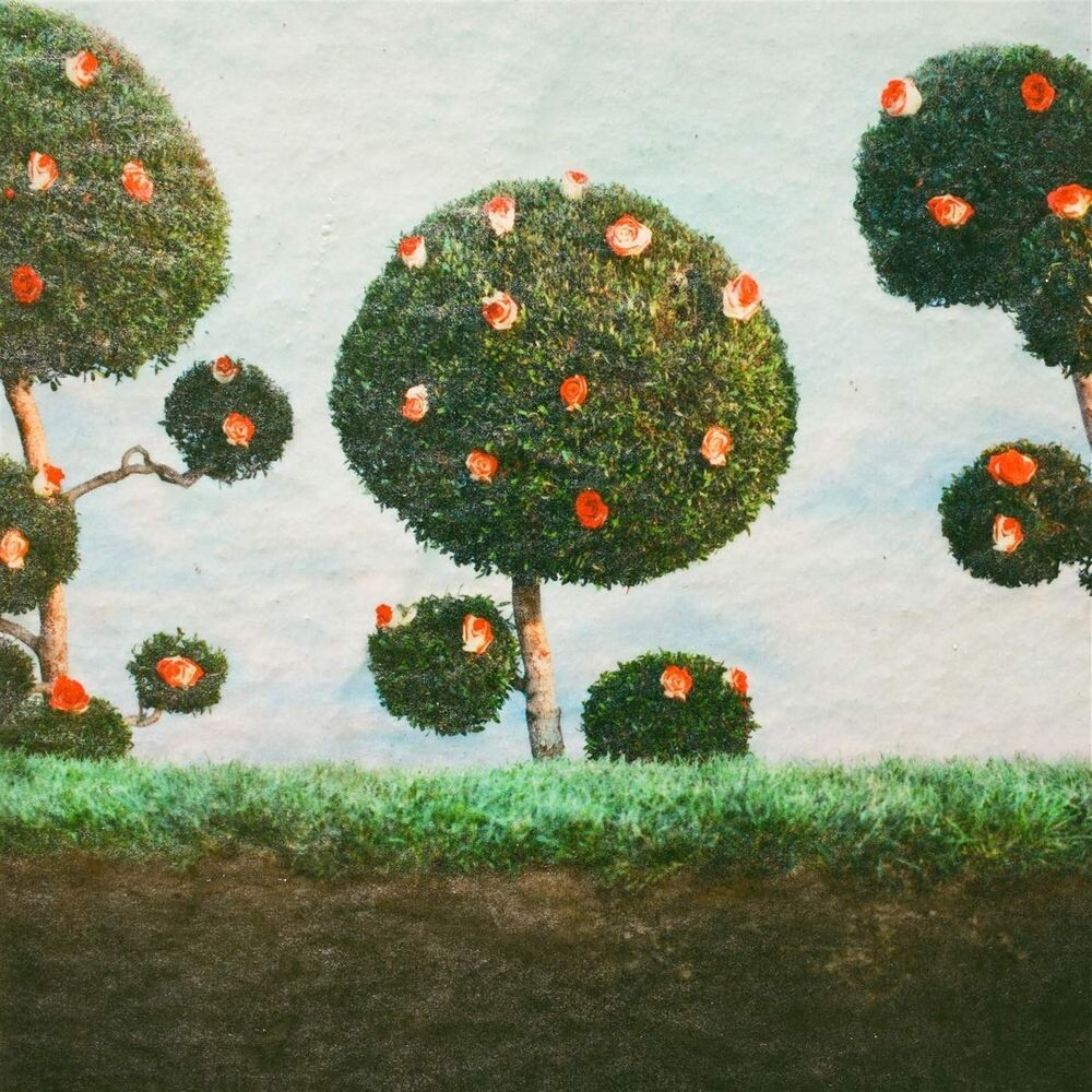 Диск CD Painting The Roses - Midnight Sister
Диск CD Painting The Roses - Midnight Sister