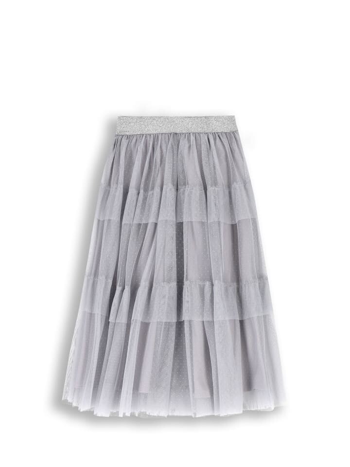 Юбка Coccodrillo Tüllrock, серый
Юбка Coccodrillo Tüllrock, серый