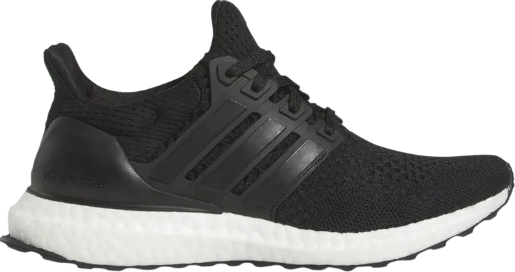 Кроссовки UltraBoost 1.0 J 'Double Black', черный
Кроссовки UltraBoost 1.0 J 'Double Black', черный