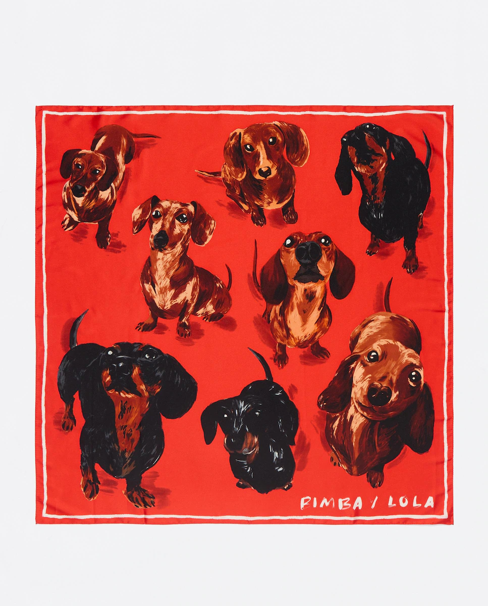 Женский квадратный шарф для собак Bimba y Lola, красный
Женский квадратный шарф для собак Bimba y Lola, красный