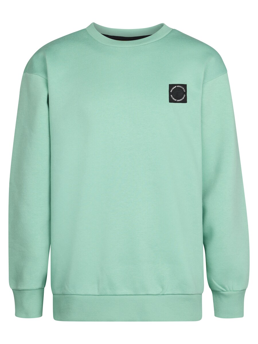 Толстовка Petrol Industries, мятный
Толстовка Petrol Industries, мятный