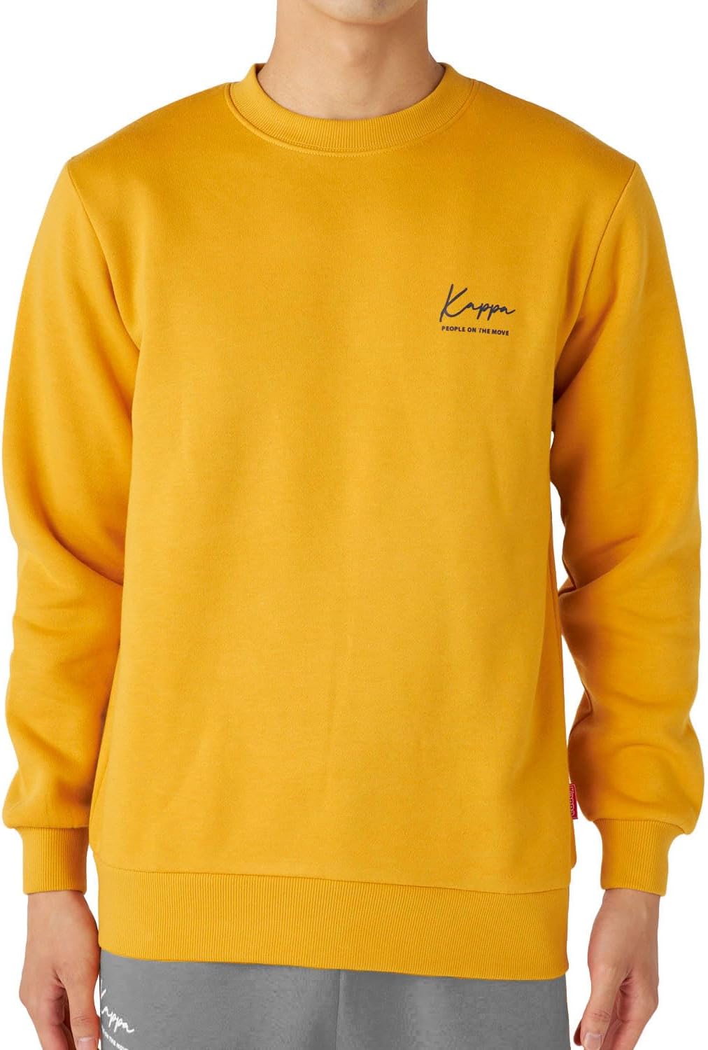 Мужская толстовка Kappa 245364 с одним точечным логотипом и флисовой подкладкой, горчичный
Мужская толстовка Kappa 245364 с одним точечным логотипом и флисовой подкладкой, горчичный