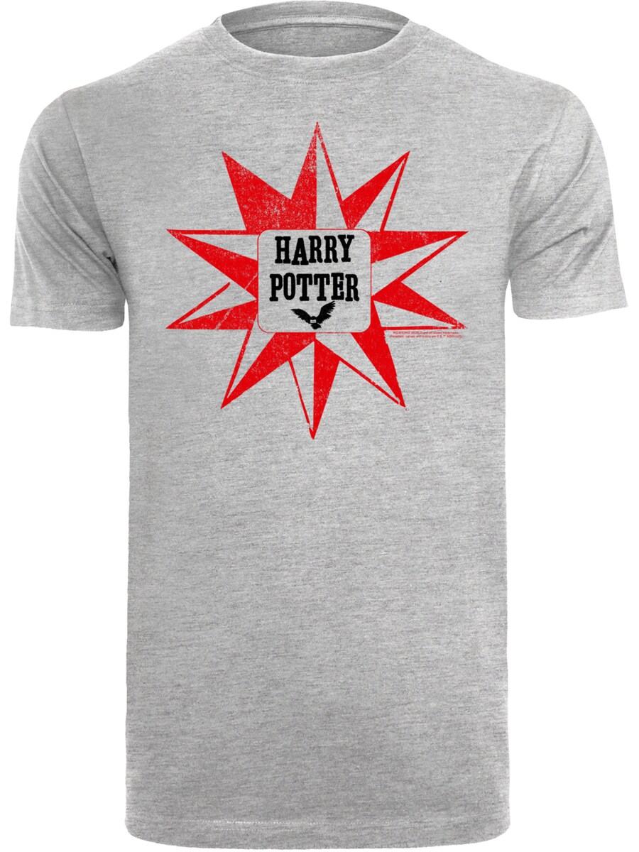 Рубашка F4NT4STIC Harry Potter Hedwig Star, пятнистый серый
Рубашка F4NT4STIC Harry Potter Hedwig Star, пятнистый серый