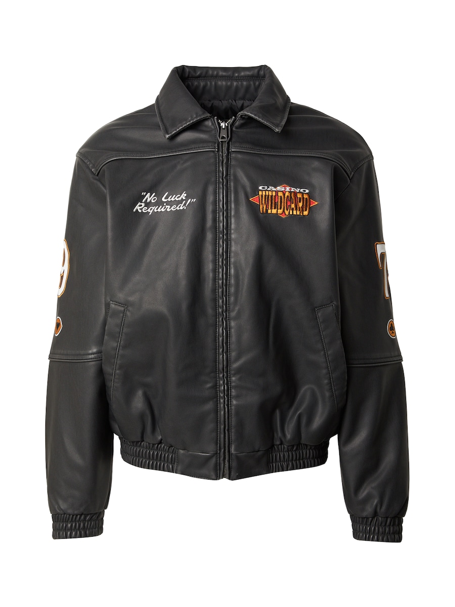 Куртка межсезонная HOLLISTER, черный
Куртка межсезонная HOLLISTER, черный