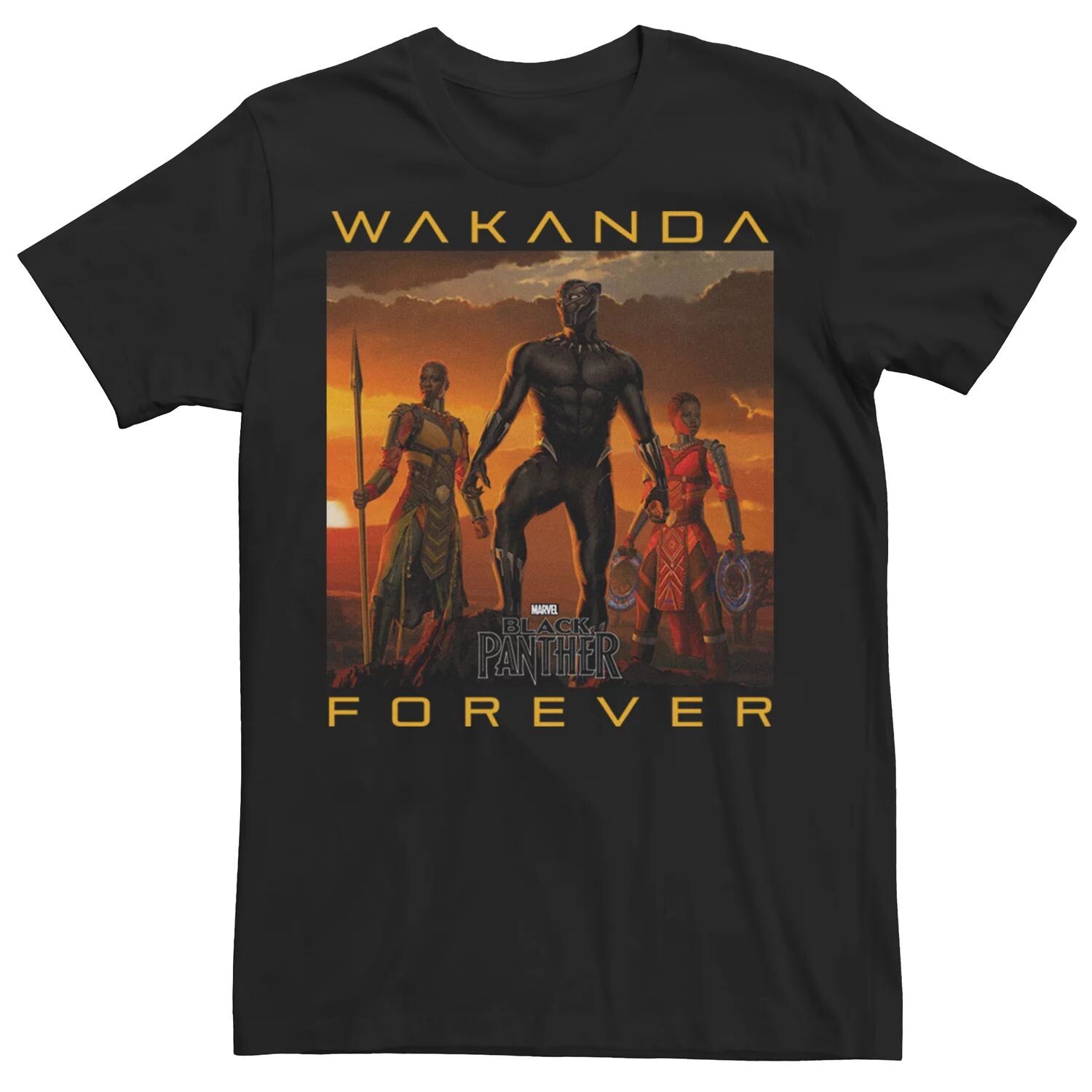 Мужская футболка Black Panther Movie Wakanda Forever Licensed Character, Черный, Мужская футболка Black Panther Movie Wakanda Forever Licensed Character
Мужская футболка Black Panther Movie Wakanda Forever Licensed Character, Черный, Мужская футболка Black Panther Movie Wakanda Forever Licensed Character