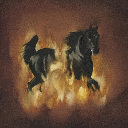 Виниловая пластинка Besnard Lakes: The Besnard Lakes Are The Dark Horse 
Виниловая пластинка Besnard Lakes: The Besnard Lakes Are The Dark Horse
