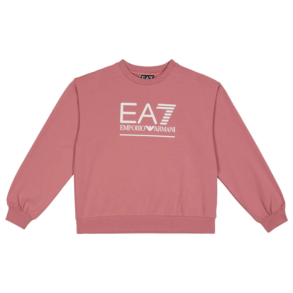 Толстовка EA7 EMPORIO ARMANI Train Visibility, розовый
Толстовка EA7 EMPORIO ARMANI Train Visibility, розовый