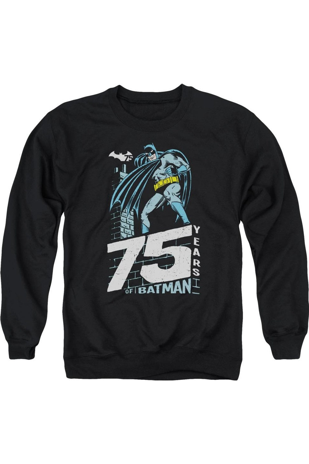 Толстовка Batman Rooftop для взрослых с круглым вырезом Gildan, черный
Толстовка Batman Rooftop для взрослых с круглым вырезом Gildan, черный