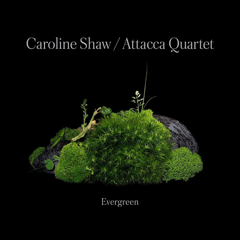 Диск CD Evergreen - Caroline Shaw, Attacca Quartet
Диск CD Evergreen - Caroline Shaw, Attacca Quartet